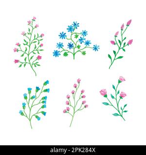 Superbe branche florale aquarelle, illustration vectorielle aquarelle dessinée à la main pour carte de vœux ou motif invitation Illustration de Vecteur