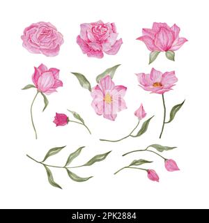 Élément de motif aquarelle de mariage de fleurs, illustration vectorielle d'aquarelle dessinée à la main pour carte de vœux ou motif d'invitation Illustration de Vecteur