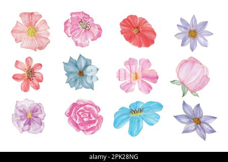 Toutes sortes de fleurs, illustrations vectorielles aquarelles dessinées à la main pour cartes de vœux ou invitations Illustration de Vecteur