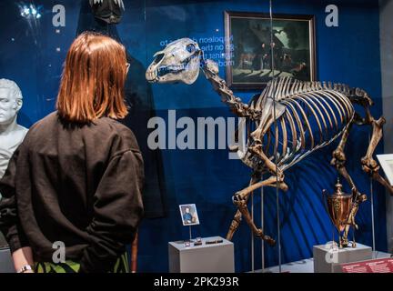 Londres, Royaume-Uni. 5th avril 2023. Le squelette de Marengo, le cheval de Napoléon, à partir du 7th avril.Paul Quezada-Neiman/Alamy Live News Credit: Paul Quezada-Neiman/Alamy Live News Banque D'Images