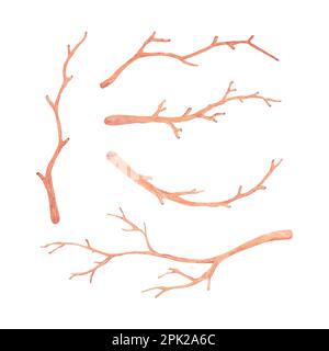 Branches d'arbre sèches avec aquarelles, illustration vectorielle d'aquarelle dessinée à la main pour carte de vœux ou motif d'invitation Illustration de Vecteur