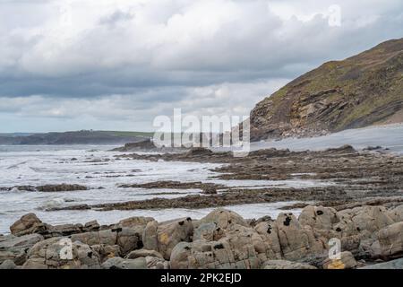 Les falaises de Millook, entre Crackington Haven et Widemouth Bay, Cornwall Banque D'Images