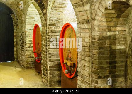 Cave à vin avec des tonneaux de vin Banque D'Images