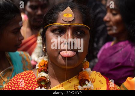 New Delhi, Delhi, Inde. 5th avril 2023. Un dévot peut être vu avec une brochette de métal percée sur sa langue lors d'une procession religieuse hindoue pour marquer le festival Panguni Uthiram à New Delhi, Inde sur 5 avril 2023. (Credit image: © Kabir Jhangiani/ZUMA Press Wire) USAGE ÉDITORIAL SEULEMENT! Non destiné À un usage commercial ! Banque D'Images