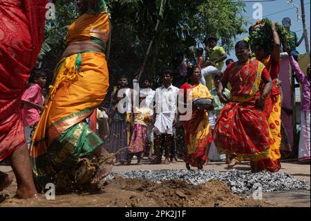 New Delhi, Delhi, Inde. 5th avril 2023. Les dévotés marchent pieds nus sur un lit de charbons en feu lors d'une procession religieuse hindoue pour marquer le festival Panguni Uthiram à New Delhi, Inde sur 5 avril 2023. (Credit image: © Kabir Jhangiani/ZUMA Press Wire) USAGE ÉDITORIAL SEULEMENT! Non destiné À un usage commercial ! Banque D'Images