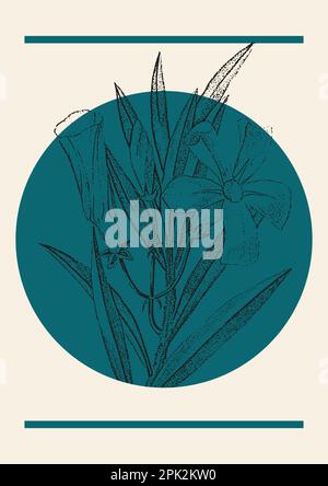 Affiche botanique exotique de branche de fleur tropicale. Illustration linéaire en style gravure. Illustration de Vecteur