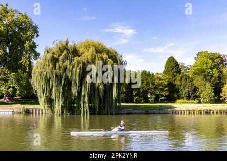 Ramers on the River Thames, Wallingford, Oxfordshire, Royaume-Uni Banque D'Images
