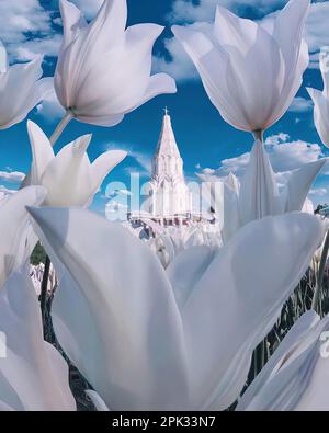 Fleurs de lilas devant l'église catholique Banque D'Images