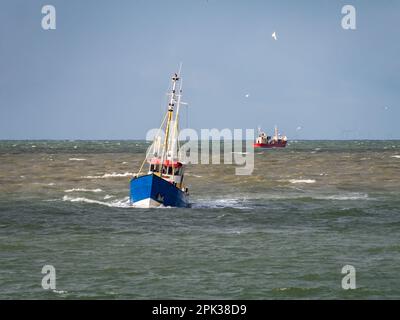 Petit bateau de pêche en vagues à l'entrée du port de Scheveningen, la Haye, pays-Bas Banque D'Images