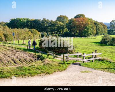 Couple senior marchant sur le sentier de Kuiperberg près d'Ootmarsum, Overijssel, pays-Bas Banque D'Images
