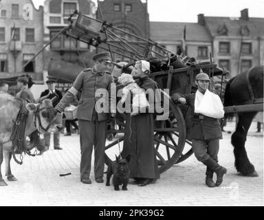 HERBERT MARSHALL et MADELEINE CARROLL sur le terrain Candid avec des chiens pendant le tournage de I ÉTAIT Un ESPION 1933 réalisateur VICTOR SAVILLE basé sur l'autobiographie de Marthe McKenna producteur Michael Balcon Gaumont British Picture Corporation / Woolf et Freedman film Service Banque D'Images