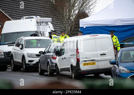 Glasgow, Écosse, Royaume-Uni. 5th avril 2023. PHOTO : raid de la police dans la maison de Peter Murrell, mari de Nicola Sturgeon et ancien PDG du Parti national écossais (SNP), arrêté à la suite d'une enquête de financement du SNP. Une présence policière est visible à l'extérieur et dans le jardin arrière, ainsi que de grands fourgons stationnés dans la voie de conduite et un bus et une tente blanche qui a été érigée dans le jardin avant pendant que la police effectue des enquêtes. Crédit : Colin Fisher/Alay Live News Banque D'Images