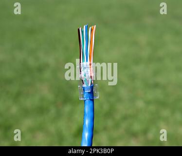 RJ45 connexion ethernet câblage T568B standard Banque D'Images