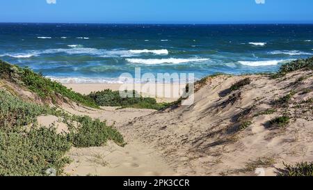 Vue sur la plage de la baie de Jeffrey en Afrique du Sud Banque D'Images