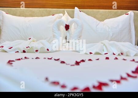 Deux swans faits de serviettes sont embrassant sur un lit blanc lune de miel. oreiller crémeux et forme de coeur, signature de valentin faite de fleur de rose rouge sur le lit déco Banque D'Images