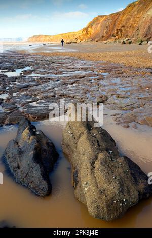 Géologie, côte jurassique, pilier, roche, pinacle, Chille de Chilton, Ile de Wight, Grande-Bretagne, Grande-Bretagne, Royaume-Uni, Grande Banque D'Images