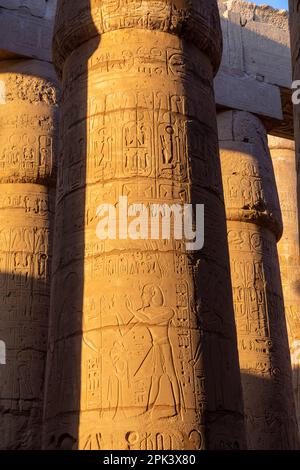 Piliers de la Grande salle Hypostyle au temple Karnak, Louxor, Égypte, Afrique du Nord-est Banque D'Images