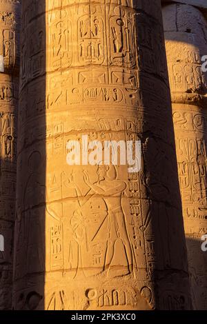 Piliers de la Grande salle Hypostyle au temple Karnak, Louxor, Égypte, Afrique du Nord-est Banque D'Images