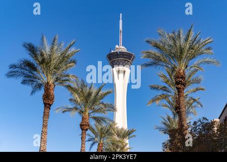 Une photo du STRAT SkyPod contre un ciel bleu avec des palmiers. Banque D'Images