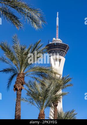 Une photo du STRAT SkyPod contre un ciel bleu avec des palmiers. Banque D'Images