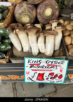 Oyster King ou trompettes King sur une cale de fruits et légumes. Pleurotus eryngii Banque D'Images