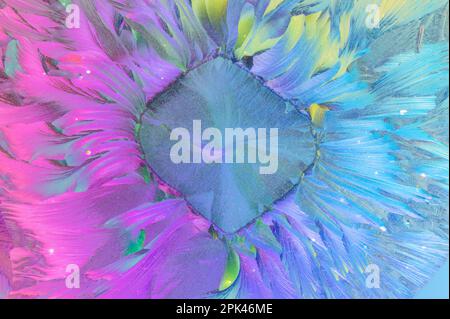 Mélange d'acides aminés bêta-alanine et L-glutamine dans la lumière polarisée croisée Banque D'Images