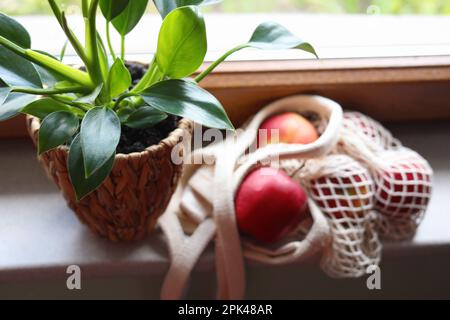 Belle maison verte en pot et sac en maille avec des pommes sur le rebord de fenêtre, gros plan Banque D'Images