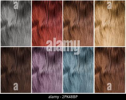 Collage d'échantillons de cheveux multicolores. Palette de couleurs Banque D'Images