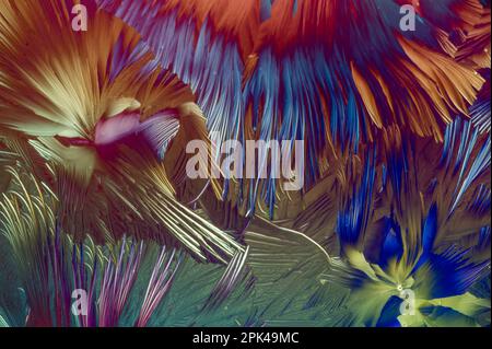 Mélange d'acides aminés bêta-alanine et L-glutamine dans la lumière polarisée croisée Banque D'Images