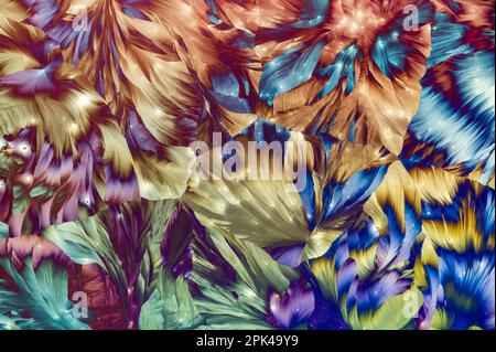 Mélange d'acides aminés bêta-alanine et L-glutamine dans la lumière polarisée croisée Banque D'Images