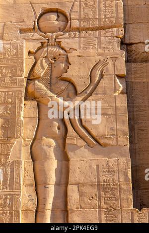 Sculptures en pierre et hiéroglyphes dans le Sanctuaire du Temple d'Isis au complexe du Temple de Philae, île d'Agilkia, Assouan, Égypte, Afrique du Nord-est Banque D'Images