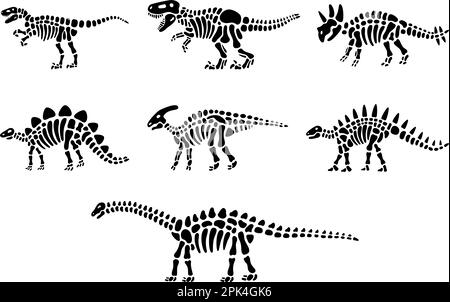 Ensemble de squelettes de dinosaures. Triceratops, Tyrannosaurus, Kentrosaurus, Brahiosaurus, Velociraptor, Stegosaurus, Parasaurolophus. Os de dinosaures Illustration de Vecteur