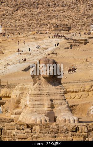 Le Grand Sphinx de Gizeh, Giza, Égypte, Afrique du Nord-est Banque D'Images