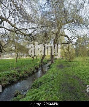 Bournemouth, Royaume-Uni - 19 mars 2023 : le ruisseau Bourne traversant les jardins supérieurs. Banque D'Images