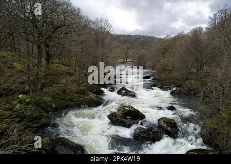 La rivière Llugwy ici est proche du village de Pont Cyfyng à Snowdonia et de la cascade connue sous le nom de Cyfyng Falls. Banque D'Images