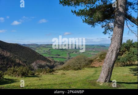 Vue à travers Crowsnest Dingle en direction de Bromlow Crolow, près de Snaailbeach, Shropshire Banque D'Images