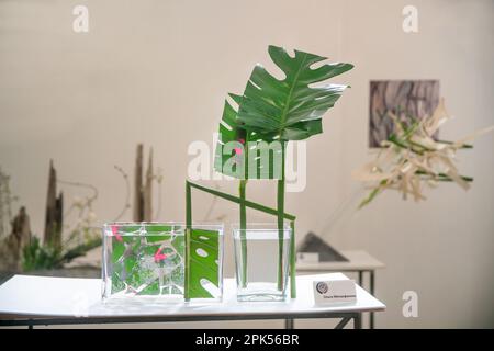 04-04-2023 Moscou Russie. Exposition ikebana à l'Institut d'architecture de Moscou ( Blagaya gilet ou "bonnes nouvelles"). Composition de la floraison arra Banque D'Images