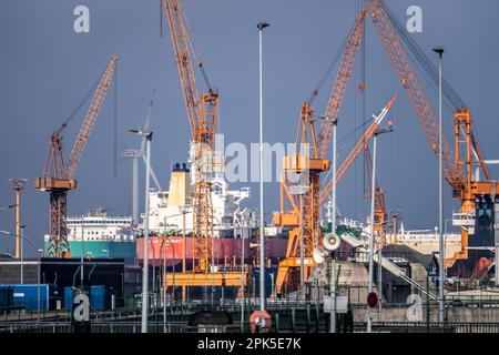 Lloyd Werft, cargo à l'embarcadère et quai sec, cargo Adam Schulte, chantier naval dans le port d'outre-mer de Bremerhaven, Brême, Allemagne Banque D'Images