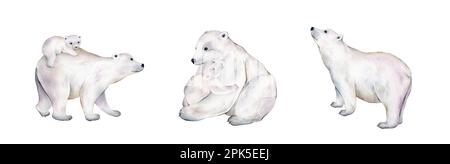 Illustration aquarelle avec un adorable ours polaire. Animal d'hiver mignon, faune, illustration avec ours. Adorable mammifère sauvage de l'antarctique. Set, clipart Banque D'Images