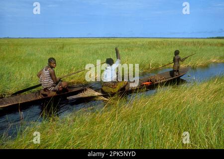 Afrique, République démocratique du Congo, région de la rivière Ngiri : femmes du groupe ethnique Libinza en canoë dans la savane marécageuse, allant dans la forêt marécageuse pour pêcher et recueillir de l'eau potable Banque D'Images