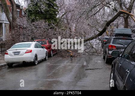 Montréal, CANADA - 5 avril 2023 : voiture sous un arbre glacé brisé après une pluie verglaçante Banque D'Images
