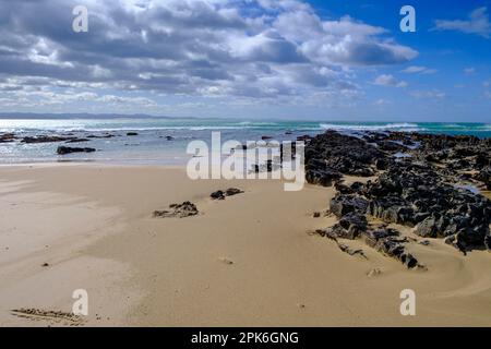 Sur la plage, Jeffreys Bay près de Port Elizabeth, Garden route, Eastern Cape, Afrique du Sud Banque D'Images