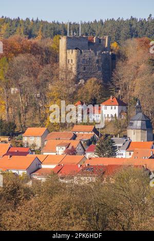Plaue dans la forêt de Thuringe vue sur le château d'Ehrenburg Banque D'Images