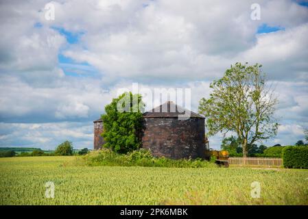 Vue sur les silos à grains de fer ondulé et le champ de blé (Triticum aestivum), près d'Alford, Lincolnshire, Angleterre, Royaume-Uni Banque D'Images