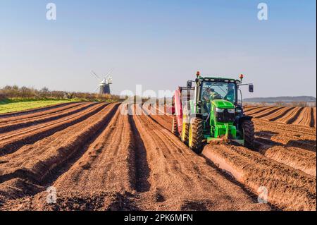 Récolte de pommes de terre (Solanum tuberosum), tracteur John Deere équipé d'un équipement mécanique utilisé pour créer le tilt et les sillons du sol avant la plantation de tubercules, avec Banque D'Images