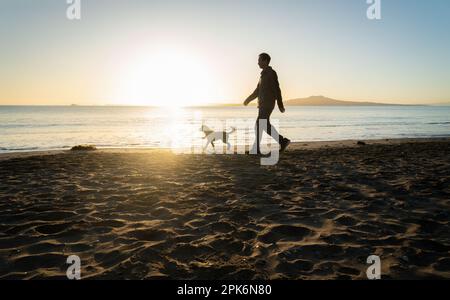 Homme marchant chien à Milford Beach. Le soleil se lève sur l'île Rangitoto. Auckland. Banque D'Images