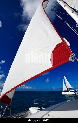 Voile Catamaran dans les baies d'Exuma, Bahamas Banque D'Images