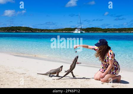 Jeune femme nourrissant des iguanes de roche (Cymura cychlura inornata) sur Allens Cay, Exuma Cays, Bahamas Banque D'Images