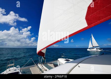 Voile Catamaran dans les baies d'Exuma, Bahamas Banque D'Images