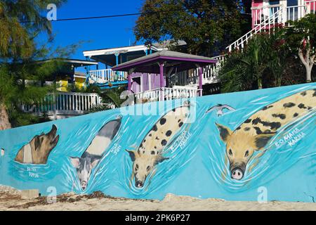 Les célèbres cochons de natation ont immortalisé des graffitis, derrière des maisons de vacances dans le port de Staniel Cay, Exuma Cays, Bahamas Banque D'Images